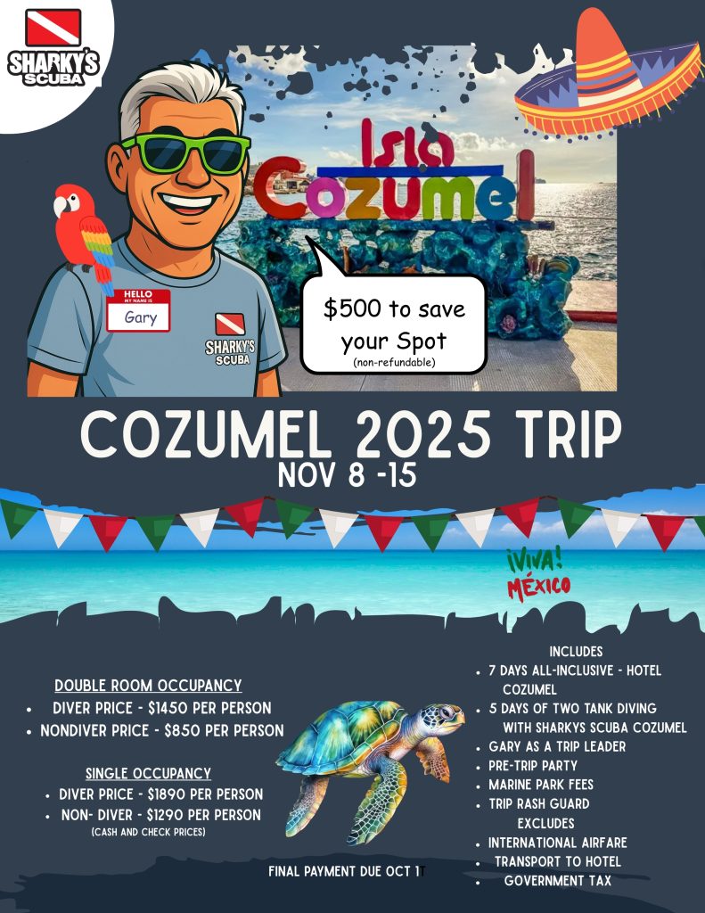 Cozumel In November!